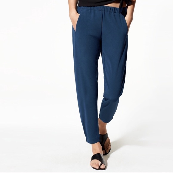 Aritzia Pants - Aritzia Dexter Trouser